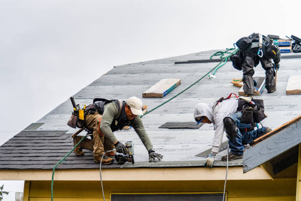 Professional Roofing technician working in Gaines, MI